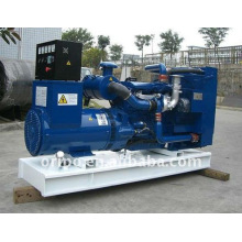chinesischer Lovol-Motor Dieselgenerator